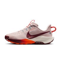 Nike Pegasus Trail 5 (FV5638-601)