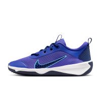Nike Omni Multi-Court (DM9027-500)