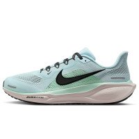 Nike Pegasus 41 (FD2722-406)