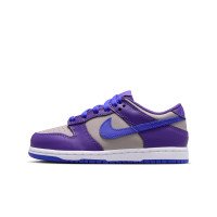 Nike Dunk Low (FB9108-007)