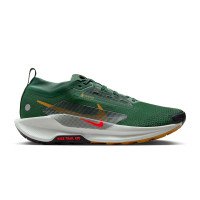 Nike REACTX PEGASUS TRAIL 5 GTX (FQ0908-301)
