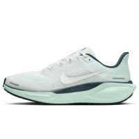Nike Pegasus 41 (FD2723-405)