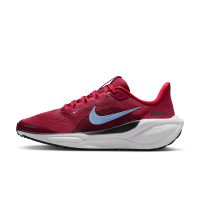 Nike Pegasus 41 (FN5041-602)
