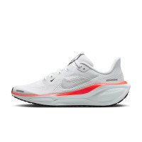 Nike Pegasus 41 (FN5041-108)