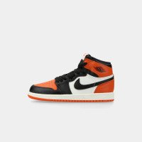Nike Jordan Jordan 1 Retro High OG (FD1412-008)