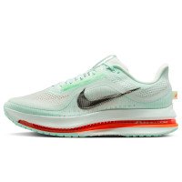 Nike Pegasus Premium (HQ2592-301)