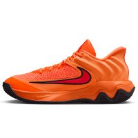 Nike Giannis Immortality 4 (FQ3680-800)