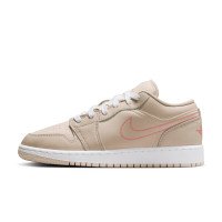 Nike Jordan Air Jordan 1 Low SE (HQ2020-100)