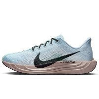 Nike Pegasus Plus (FQ7262-406)