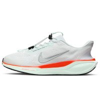 Nike Pegasus EasyOn (FQ7837-103)