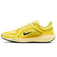 Nike Pegasus 41 GORE-TEX (FQ1356-700)