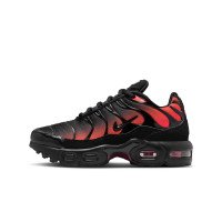 Nike Air Max Plus (FZ0023-039)