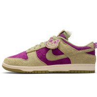 Nike Dunk Low Retro SE (IB2990-500)