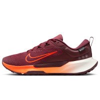 Nike Juniper Trail 2 GORE-TEX (HM9725-601)