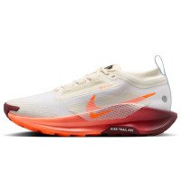Nike REACTX PEGASUS TRAIL 5 GTX (FQ0912-104)