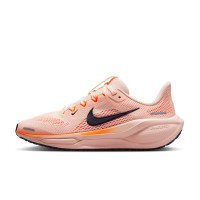 Nike Pegasus 41 (FN5041-802)