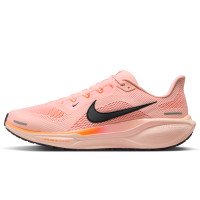 Nike Pegasus 41 (FD2722-801)