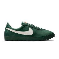 Nike Astrograbber QS "Fir and Phantom" (IH2341-300)