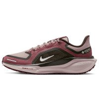 Nike Pegasus 41 GORE-TEX (FQ1357-200)