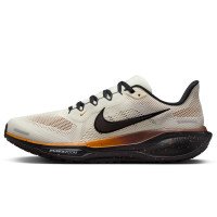 Nike Pegasus 41 (IH4455-047)