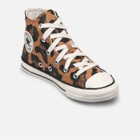 Converse Chuck Taylor All Star Leopard (A16590C)