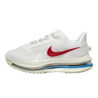 Nike WMNS Pegasus Premium Road Running (IH7347-111)