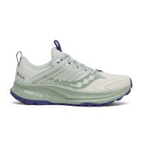 Saucony Saucony Ride TR2 GTX (S10953)