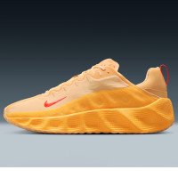 Nike Ava Rover (DX4215-205)