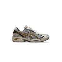 Asics GT-2160 (1203A275-114)