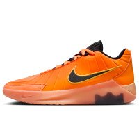 Nike LeBron Witness 9 (HQ8034-800)
