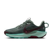 Nike Pegasus Trail 5 (FV5638-301)