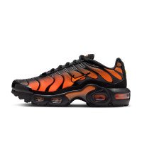 Nike Air Max Plus (CD0609-041)
