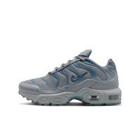 Nike Air Max Plus (FZ0023-042)