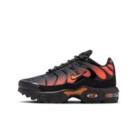Nike Air Max Plus (FZ0023-041)