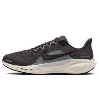 Nike Pegasus 41 (FD2722-215)