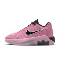 Nike LeBron Witness 9 (HV2270-601)
