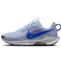 Nike Pegasus Trail 5 (DV3865-403)