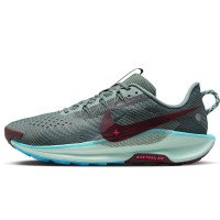 Nike Pegasus Trail 5 (DV3864-302)