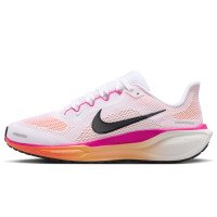 Nike Pegasus 41 (FD2723-120)