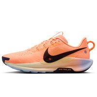 Nike Pegasus Trail 5 (DV3864-800)