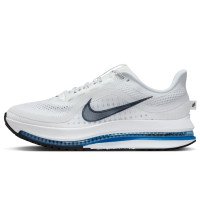 Nike Pegasus Premium (HQ2592-104)