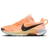 Nike Pegasus Trail 5 (DV3865-800)