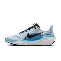 Nike Pegasus 41 (FN5041-109)