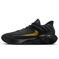 Nike Giannis Immortality 4 (FQ3680-010)