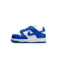Nike Dunk Low (FB9107-131)