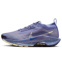 Nike Pegasus Trail 5 GORE-TEX (FQ0912-402)
