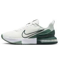 Nike Air Max Alpha Trainer 6 (FQ1833-108)