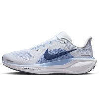 Nike Pegasus 41 (FQ0965-108)