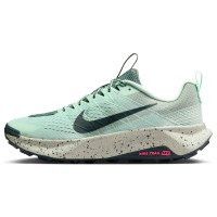 Nike Wildhorse 10 (FV2338-301)