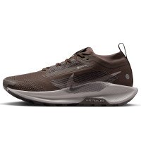 Nike Pegasus Trail 5 GORE-TEX (FQ0912-012)